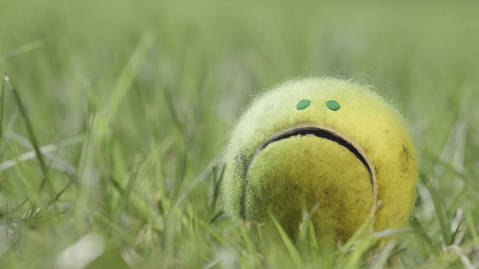 Neon green tennis ball with a sad face drawn on it, lying in grass